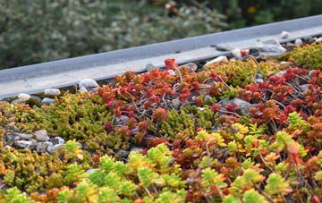 the cost of Chirton green roof installation