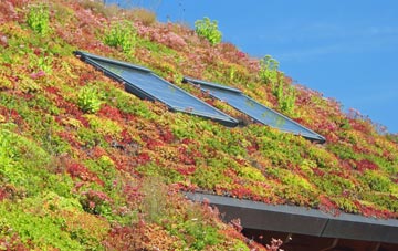 Chirton living roof systems