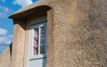 Chirton thatch roof disadvantages